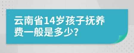 云南省14岁孩子抚养费一般是多少？