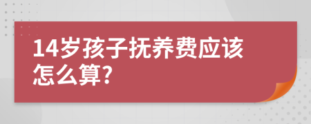 14岁孩子抚养费应该怎么算?