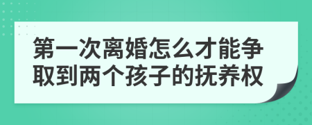 第一次离婚怎么才能争取到两个孩子的抚养权