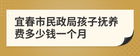 宜春市民政局孩子抚养费多少钱一个月