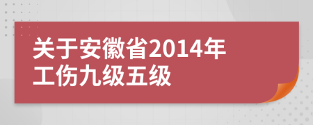 关于安徽省2014年工伤九级五级