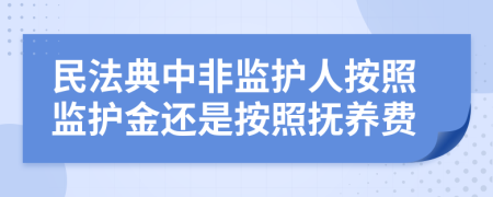 民法典中非监护人按照监护金还是按照抚养费