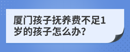 厦门孩子抚养费不足1岁的孩子怎么办？