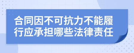 合同因不可抗力不能履行应承担哪些法律责任
