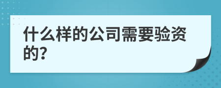 什么样的公司需要验资的？