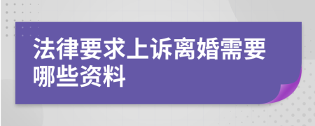 法律要求上诉离婚需要哪些资料