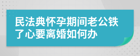 民法典怀孕期间老公铁了心要离婚如何办