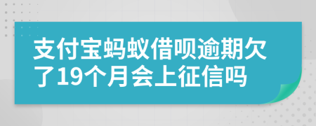 支付宝蚂蚁借呗逾期欠了19个月会上征信吗