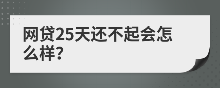 网贷25天还不起会怎么样？