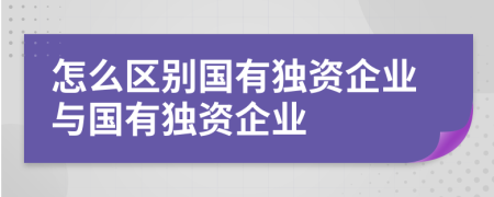 怎么区别国有独资企业与国有独资企业