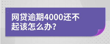 网贷逾期4000还不起该怎么办？