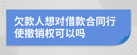 欠款人想对借款合同行使撤销权可以吗