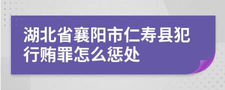 湖北省襄阳市仁寿县犯行贿罪怎么惩处