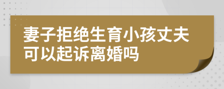 妻子拒绝生育小孩丈夫可以起诉离婚吗