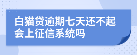 白猫贷逾期七天还不起会上征信系统吗