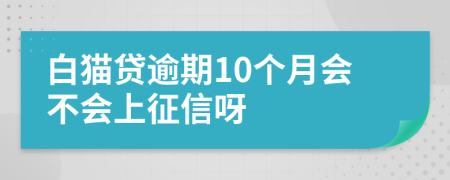 白猫贷逾期10个月会不会上征信呀