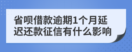 省呗借款逾期1个月延迟还款征信有什么影响