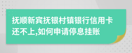 抚顺新宾抚银村镇银行信用卡还不上,如何申请停息挂账