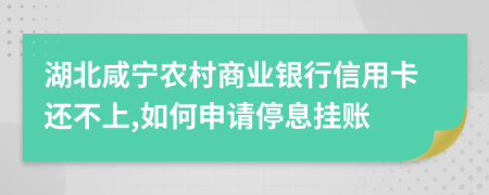 湖北咸宁农村商业银行信用卡还不上,如何申请停息挂账