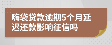 嗨袋贷款逾期5个月延迟还款影响征信吗