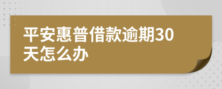 平安惠普借款逾期30天怎么办