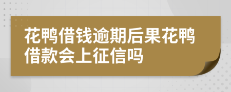 花鸭借钱逾期后果花鸭借款会上征信吗