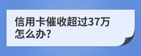 信用卡催收超过37万怎么办?