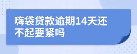 嗨袋贷款逾期14天还不起要紧吗