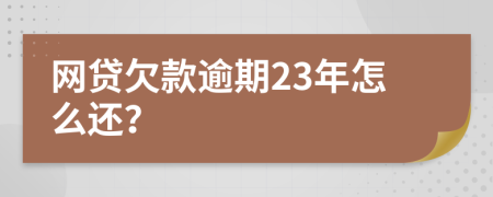 网贷欠款逾期23年怎么还？