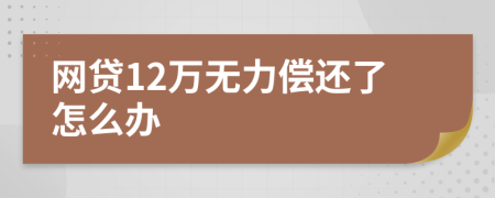 网贷12万无力偿还了怎么办