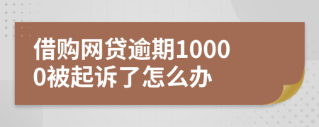 借购网贷逾期10000被起诉了怎么办