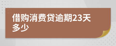 借购消费贷逾期23天多少