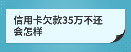 信用卡欠款35万不还会怎样