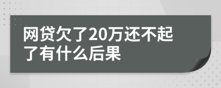 网贷欠了20万还不起了有什么后果