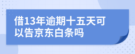 借13年逾期十五天可以告京东白条吗