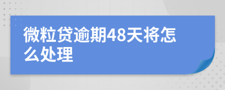 微粒贷逾期48天将怎么处理