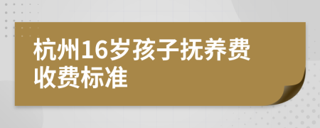 杭州16岁孩子抚养费收费标准