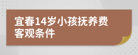 宜春14岁小孩抚养费客观条件