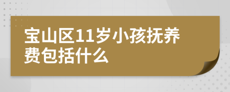 宝山区11岁小孩抚养费包括什么