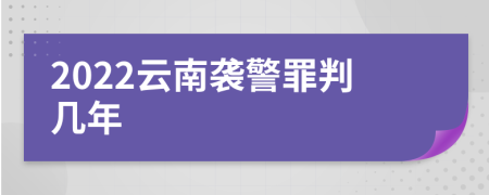 2022云南袭警罪判几年