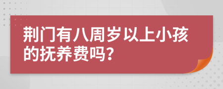 荆门有八周岁以上小孩的抚养费吗？