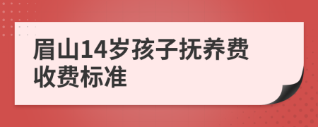 眉山14岁孩子抚养费收费标准