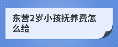 东营2岁小孩抚养费怎么给