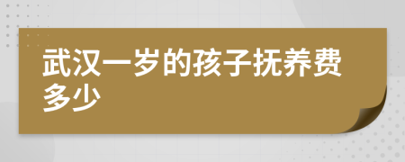 武汉一岁的孩子抚养费多少