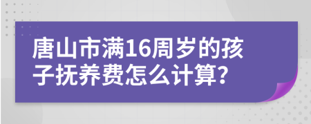 唐山市满16周岁的孩子抚养费怎么计算？