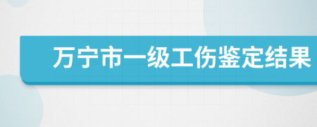 万宁市一级工伤鉴定结果