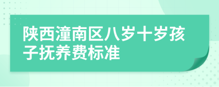 陕西潼南区八岁十岁孩子抚养费标准