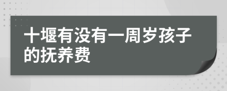 十堰有没有一周岁孩子的抚养费