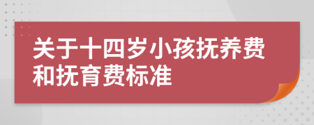 关于十四岁小孩抚养费和抚育费标准