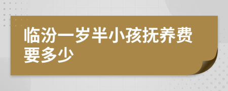 临汾一岁半小孩抚养费要多少